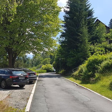 Villa Goldbrunnen Ferienwohnung 3 Bad Elster Esterno foto